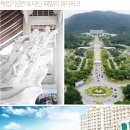 풍경채펜션 - 옹진군 영흥로643번길 15-2 | 풍경채펜션