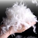 가나안이불 이미지