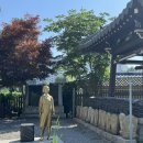 금광초등학교 정문 이미지