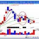 이런 캔들을 공부하면 주식에서 성공할수 있다. 이미지