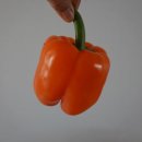 탐진축산 이미지