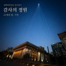 광화문 감사의 정원 후기｜밤하늘로 올라간 23개의 기억, 야간 빛 체험 명소