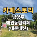 애견스토리 | 남양주 애견동반 카페 추천 <카페스토리> 넓은잔디에 분위기 좋은 곳_ 내돈내산 방문후기