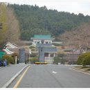 성내길 Daum카페