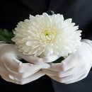 빛장례식장 이미지