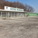 휴먼앤독 이미지