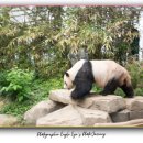 이글스넥 | [이글아이의 사진여행] 에버랜드 로스트밸리와 사파리월드, 어트랙션 도전기