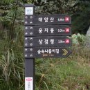 성주공인중개사사무소 이미지