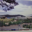 전남체육고등학교 | 광주체육고등학교 (광주)17회