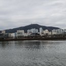 동천교 남쪽 Daum카페