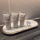 별그리고펜션 | 남해 애견동반 풀빌라 펜션 별그리고남해 후기