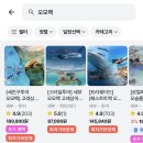 서*모 | 세부 4박 6일 : 세부어드벤처 오모팩 내돈내산 후기, 준비물