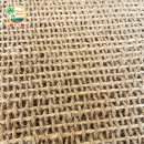 코이어(coir)