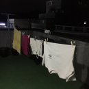 굴비골영광시장 | 교환학생 가기 2주전, 완전히 놀고 먹고 (*ꆤ.̫ꆤ*)