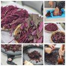 꽃차소믈리에 2급 | [콜레스테롤 저하]붉은색 아마란스꽃차 만들기
