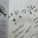부산 충무동 노포 맛집, 금강파전! 솔직 후기