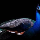 one스크린연습장 이미지