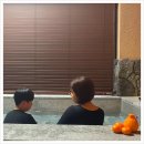 성산 동백소랑 이미지