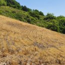 섬강공인중개사사무소 이미지