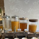 몰타 | 몰타 오션뷰 호텔 추천: 하얏트 리젠시 몰타 조식 후기