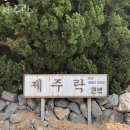 제주락