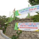 은행공원 물놀이장 이미지