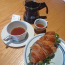 남원읍 공천포식당 동쪽 | 12월 제주여행 이틀차) 스테이위드커피 공천포식당 동백포레스트 감귤따기