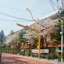 경기도 수원시 영통구 권광로304번길 47-17 이미지