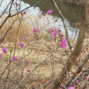 웰빙농원 - 천안시 서북구 망향로 1034 | 웰빙농원