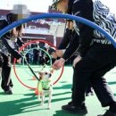 (주)아이바이오메디칼 이미지