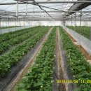 연무농장 이미지