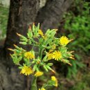 순박2농장 이미지