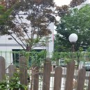 고감도어린이집 이미지