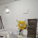 선 피부샵