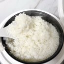 백진주 | 밥맛 좋은 쌀 최고급품종 백미쌀 조선향미 조선백진주 추천 후기