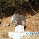 송여자경로당 | 지리산 이야기 - 22. ( 바래봉 철쭉. 운봉. 인월. 피바위. 성리마을. )