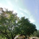 대관령 솔내음 오토 캠핑장 이미지