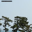 더몽돌물회 | 울산 해마지 울산주전점 전복물회 후기, 주전 몽돌해변 근처 맛집