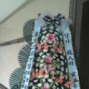 연세손소아청소년과의원 이미지