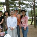 장미농원 이미지