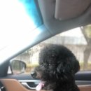 어서타개 이미지