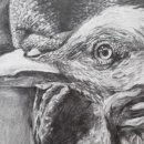 미술회화 기초(수채화) 이미지