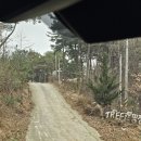 C15 | [인천 캠핑] 트리캠핑장 C15 사이트 1박캠 후기