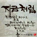 사십에 임신을~~ 이미지