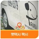 Paxi(팩시) | 펫택시는 처음이죠? 반려동물과 함께 타는 이동 서비스 2편, &#39;팩시(Paxi)&#39; 탑승 후기