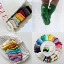 사사 학교 | [9월] 여름아 물렀거라!｜장꾸력이 폭발하는 마조리카 일상