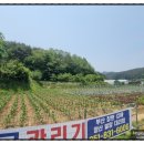 큰돌포장센타