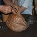 해구농장 이미지