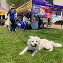 하이원펫클럽 이미지