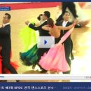 아라이스(arais) 이미지